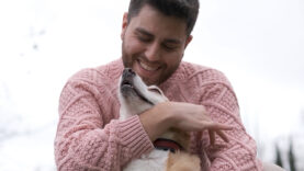 111 Hund Emotion