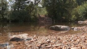 Fluss