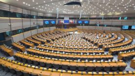 111 Stocker EU Budget