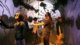 Ars Electronica 30 Jahre
