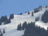 gosau