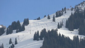 gosau
