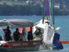obduktion attersee