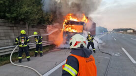 111 LWK Brand A1