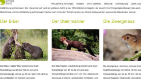 111 tier des jahres