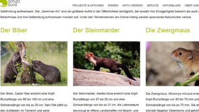 111 tier des jahres