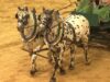 200 Jahre Stadt Paura