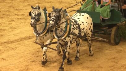 200 Jahre Stadt Paura