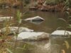 Bad Schallerbach Wasser