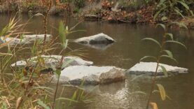 Bad Schallerbach Wasser