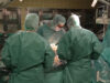 Gesundheitssystem Haberlander