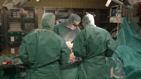Gesundheitssystem Haberlander