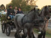 Granitland Oktoberfest