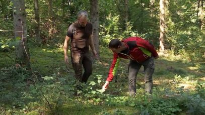 Klimafitter Wald