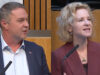 SPÖ Holzleitner